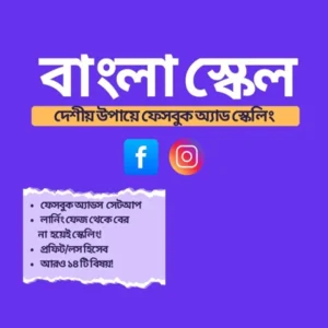 বাংলা স্কেল - Facebook Ad Scaling E-Book